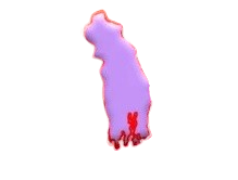 Khulna Division Map