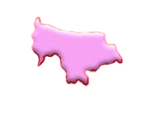 ময়মনসিংহ বিভাগ